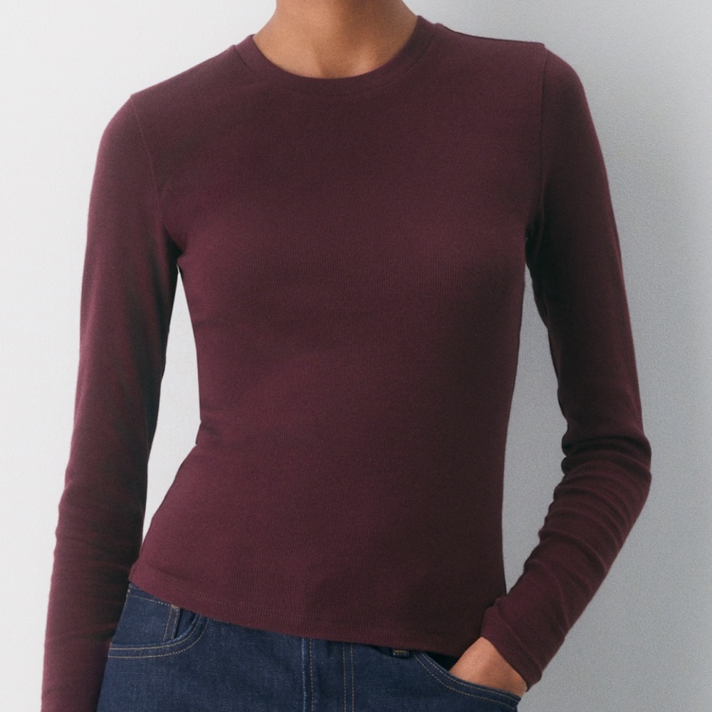 Aritzia ribbed long sleeve - cardamom